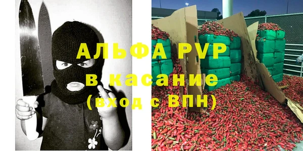 твердый Ельня