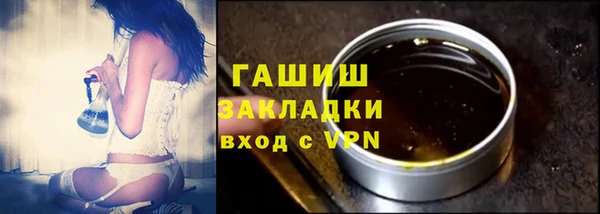 твердый Ельня