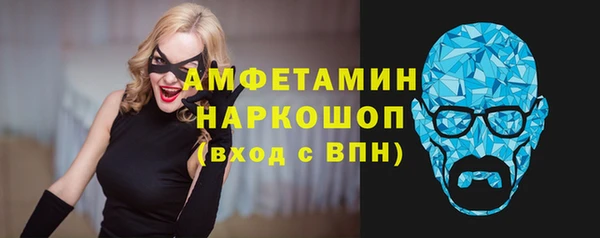 твердый Ельня