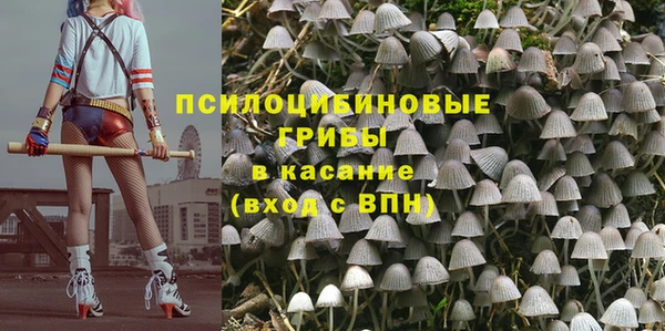 не бодяженный Елизово