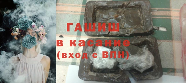 тгк Дмитриев