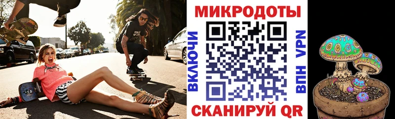 где можно купить   Оса  Галлюциногенные грибы Cubensis 